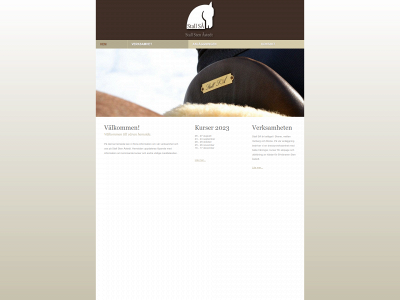 stallsa.se snapshot