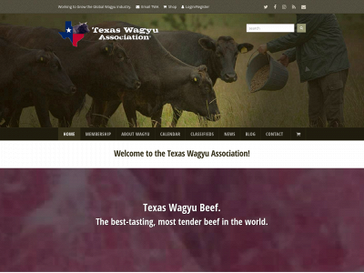 texaswagyuassociation.org snapshot