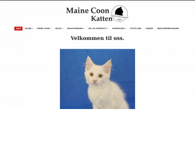 mainecoonkatten.no snapshot