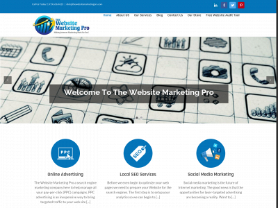 www.thewebsitemarketingpro.com snapshot