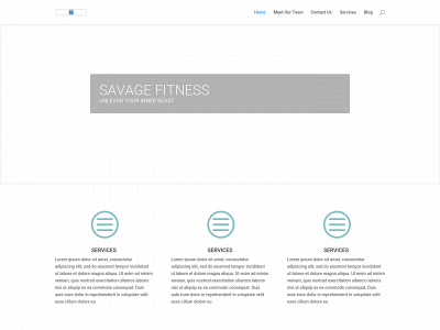 savagefitness.net snapshot