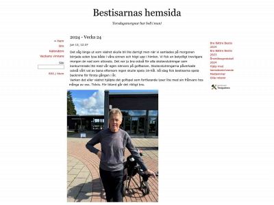 bestisarna.se snapshot