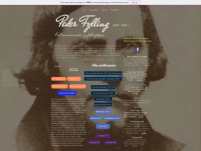 fylling.one snapshot
