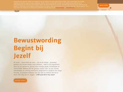 awarenesscentre.nl snapshot