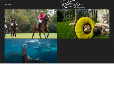 rossunderwater.com snapshot