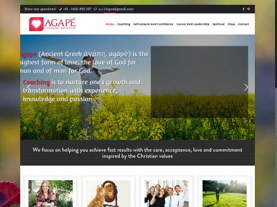 agapecoachinginstitute.com snapshot