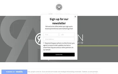 raveonstudio.weebly.com snapshot