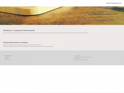 teamtamminen.fi snapshot