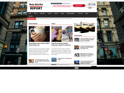 buzzworthyreport.com snapshot