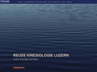 www.patriciacossar.ch snapshot