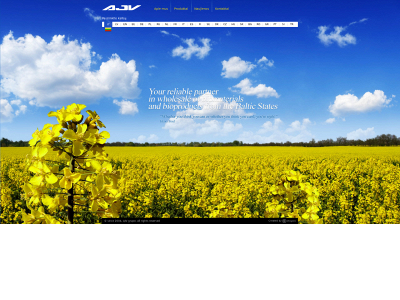 ajv.lt snapshot