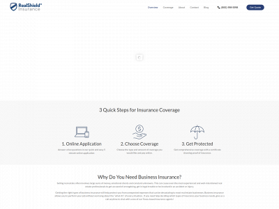 realshieldinsurance.com snapshot