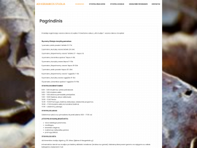 adistudija.lt snapshot