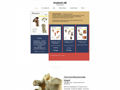anatomi.dk snapshot