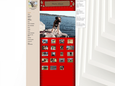 pickwick.com.mx snapshot