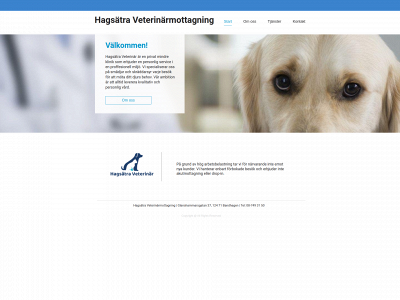 hagsatravet.se snapshot