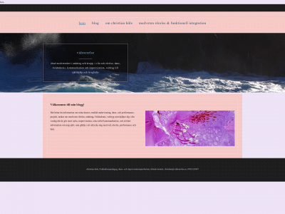 vidroerelse.se snapshot