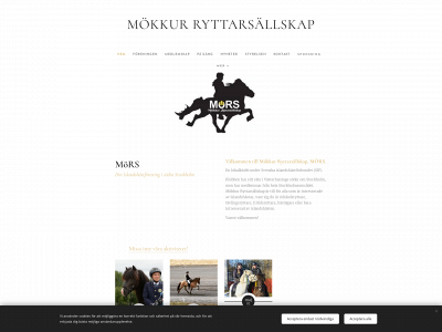 mokkur.se snapshot
