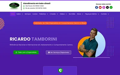 ricardotamborini.com.br snapshot