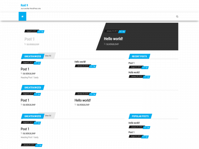 raid9.com snapshot