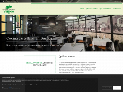 www.restaurantevienaburgos.com snapshot