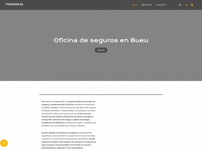 www.toanzos.com snapshot