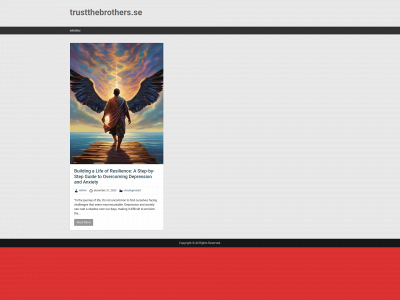 trustthebrothers.se snapshot