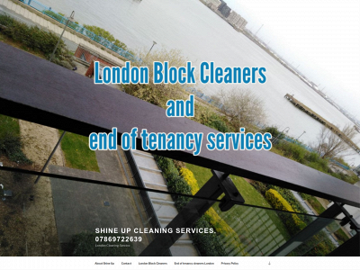 shineupcleaningservices.co.uk snapshot