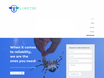 limetekpest.com snapshot