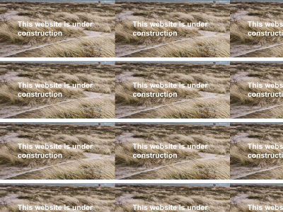 plastic-respiration.com snapshot