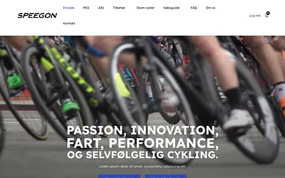 speegon.com snapshot
