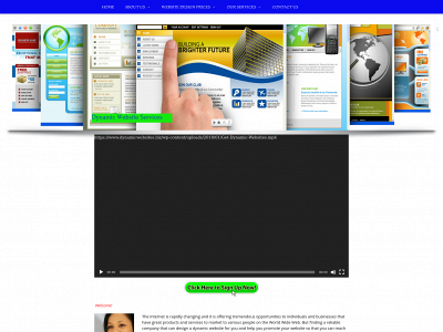 dynamicwebsites.biz snapshot