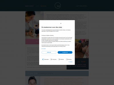 babytjekket.dk snapshot