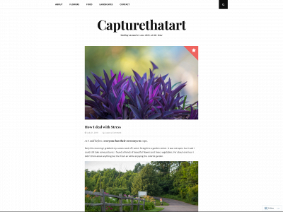 capturethatart.com snapshot