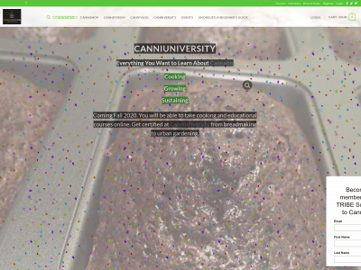 cannifusion.com snapshot