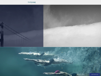 tytoyme.com snapshot