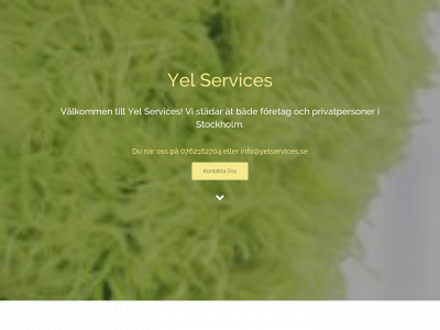 yelservices.se snapshot