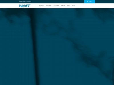 webpt.com snapshot