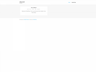 ntinc.tech snapshot