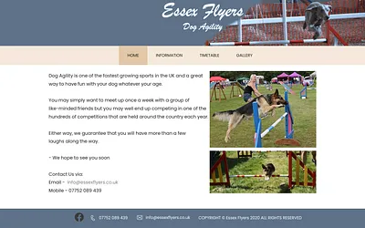 essexflyers.co.uk snapshot