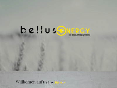 bellusenergy.de snapshot
