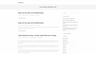 puretoneco.com snapshot