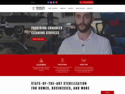 tsscleaning.com snapshot