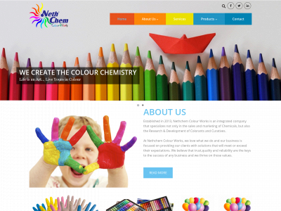 nethchemcolourworks.lk snapshot