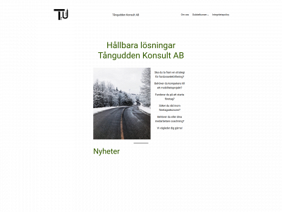 tangudden.com snapshot