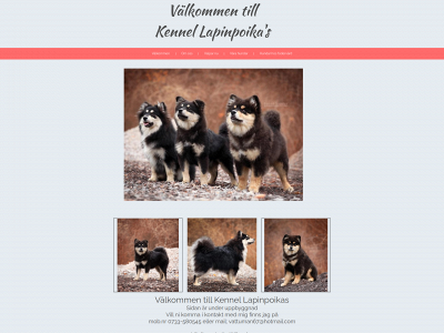 lapinpoikas.se snapshot