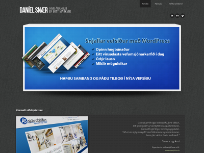 danielsnaer.com snapshot