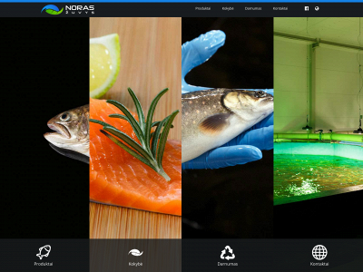 noraszuvys.lt snapshot