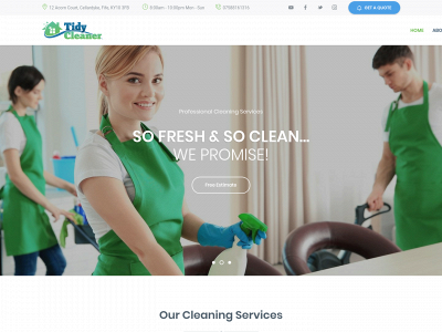 tidycleaner.co.uk snapshot