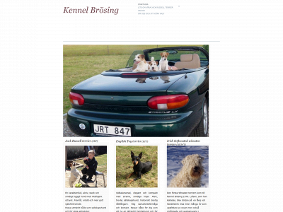 brosing.se snapshot
